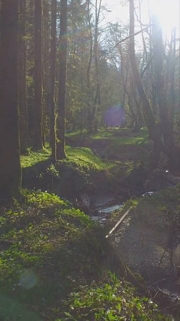 Практика от негативных эмоций смотреть онлайн