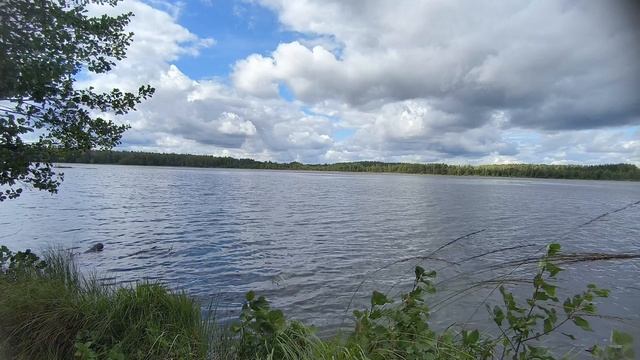 Озеро Серковское. ч.3. Август 2025 смотреть онлайн