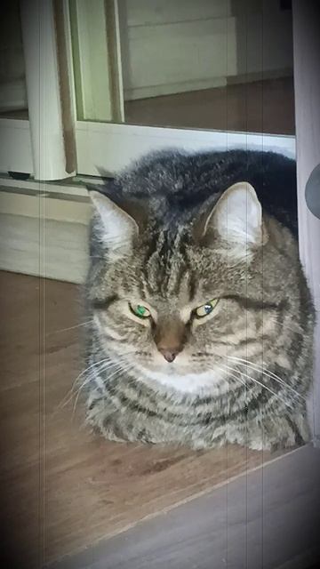 Балдёжник смотреть онлайн