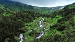 Muslum Gurses - BORÇ MUTLULUK İSTİYORUM