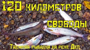 120 КИЛОМЕТРОВ СВОБОДЫ. наша невероятная рыбалка на таежной реке Деп
