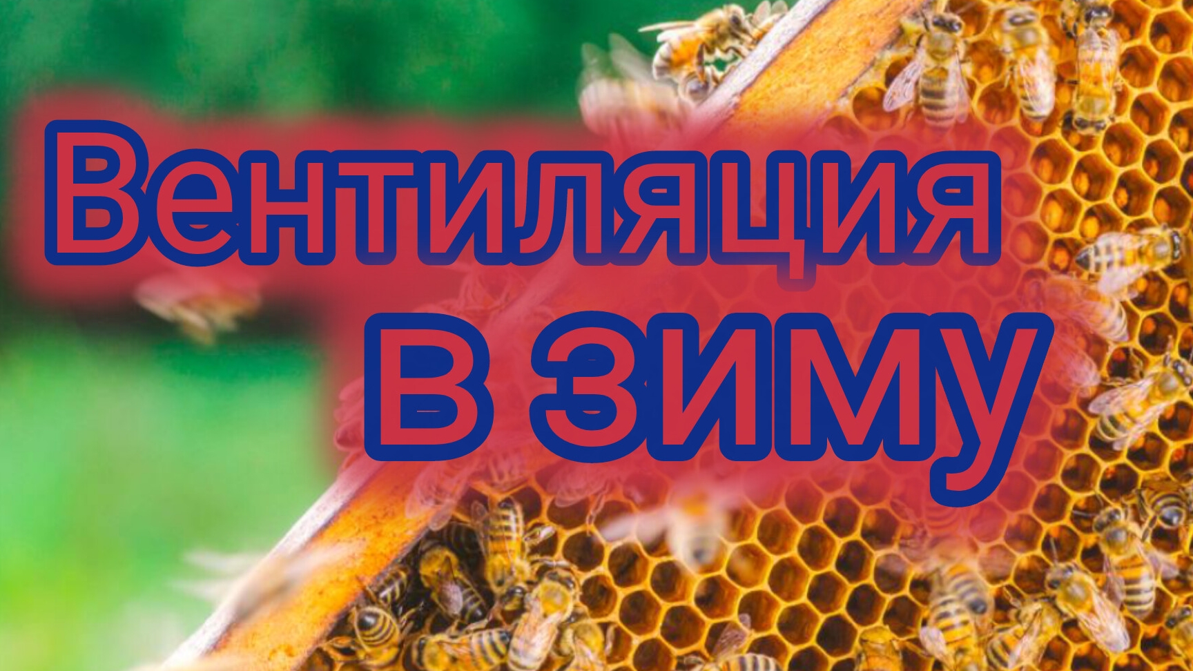 Вентиляция в зиму 🐝 смотреть онлайн