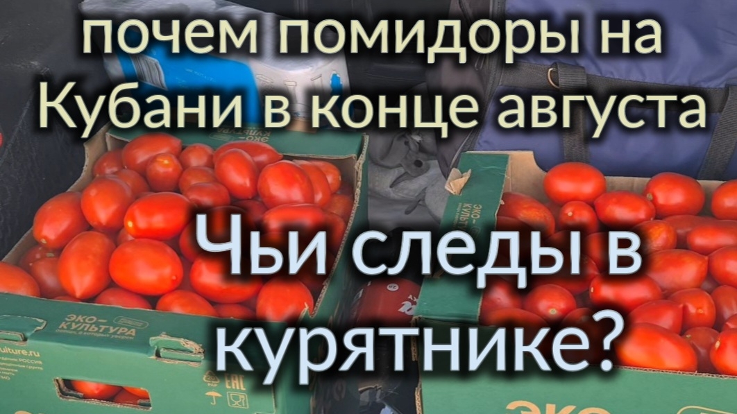 Городок у моря