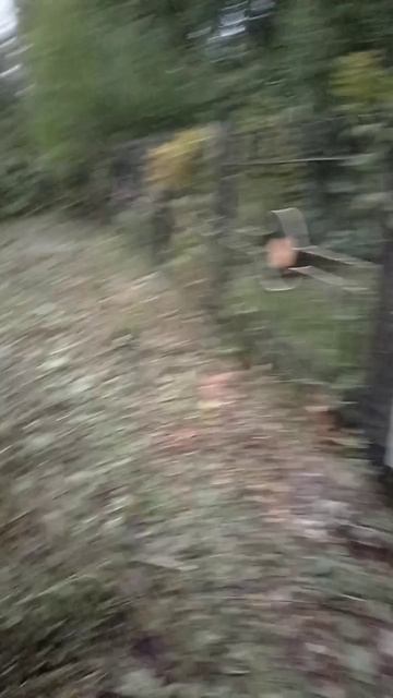 Уборка территории