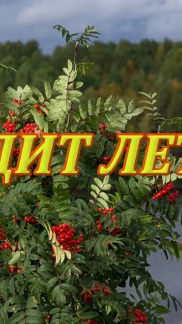 Уходит лето...