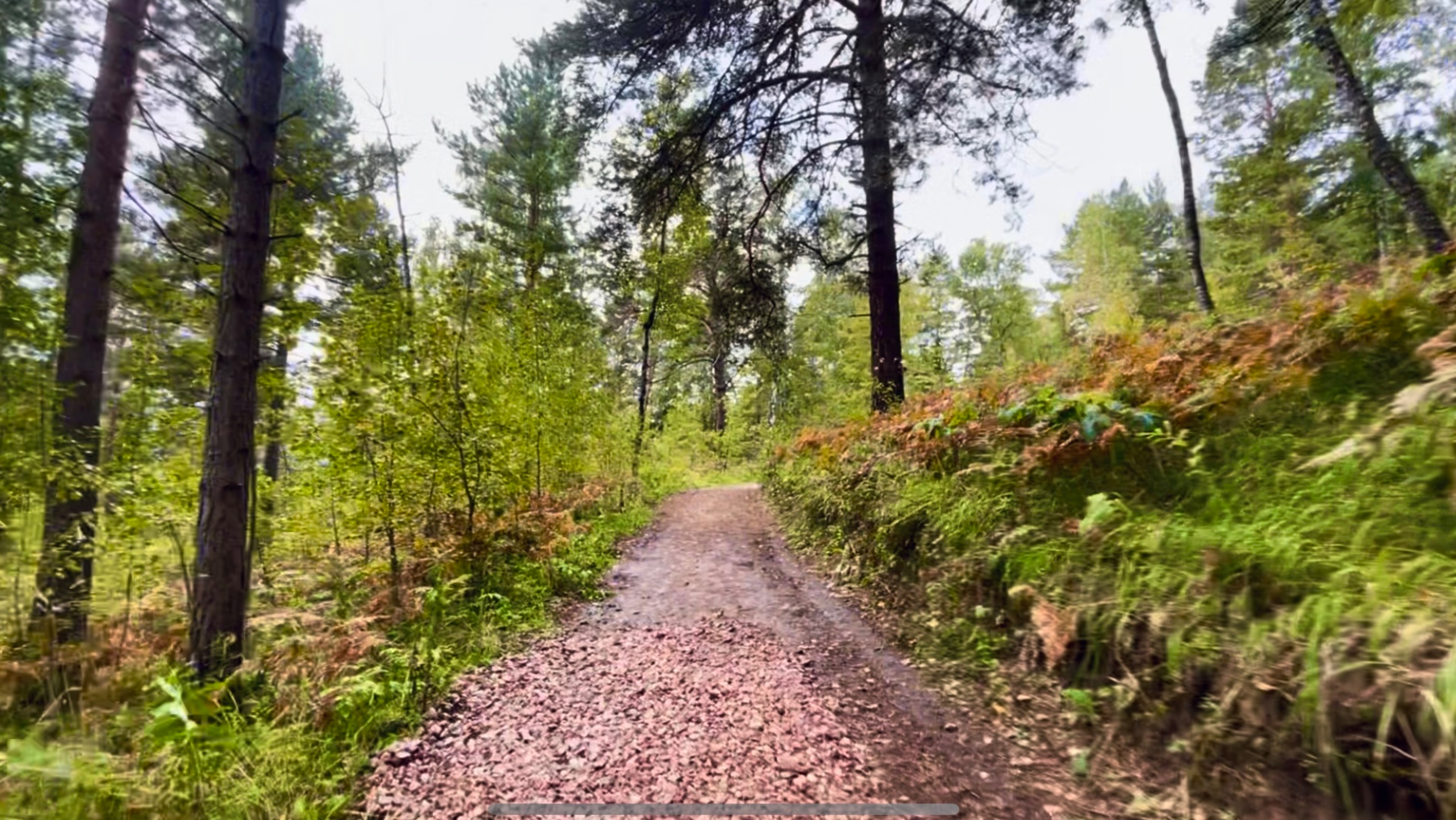 Дорога до «Караульной пещеры-2» пешком по затерянному , дремучему лесу за Красноярском. Эпизод 12