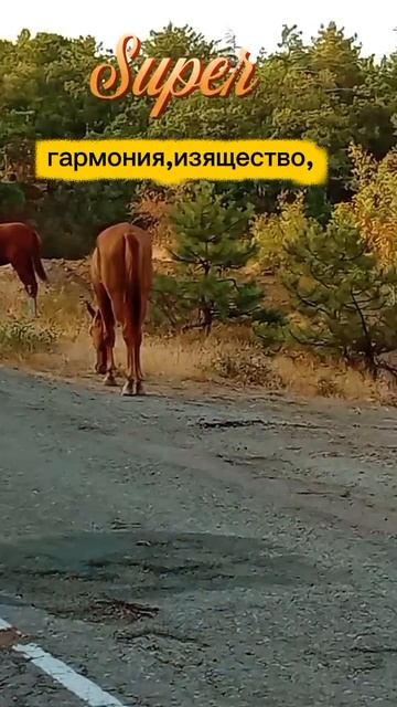 Чудное создание природы.
