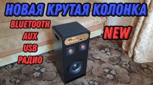 Новая крутая колонка Bluetooth aux usb радио NEW