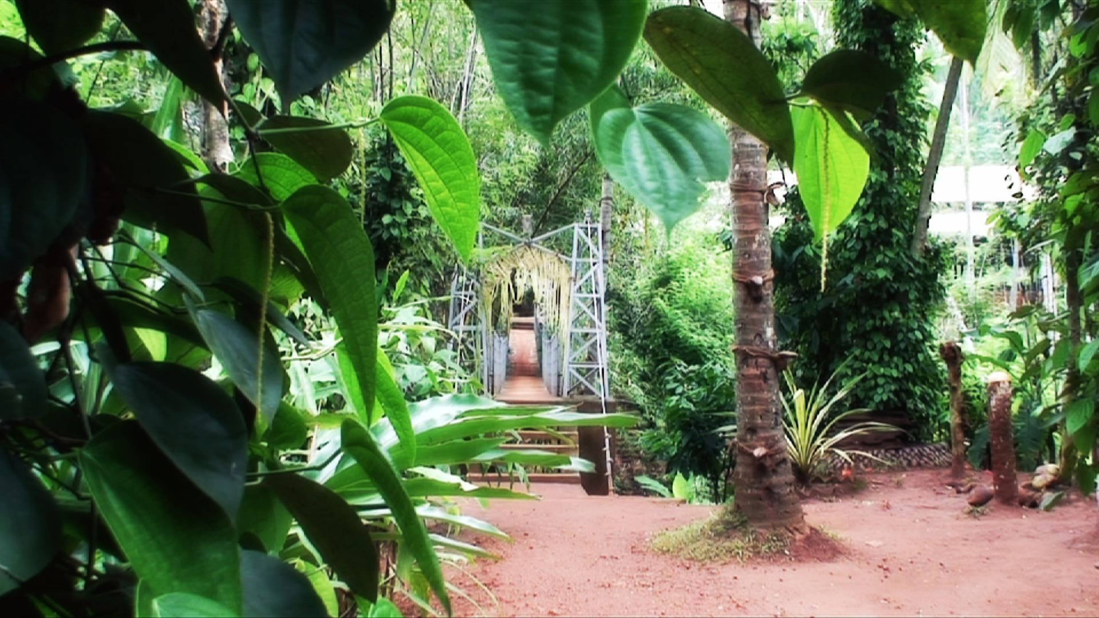 Spice Garden In Sri Lanka