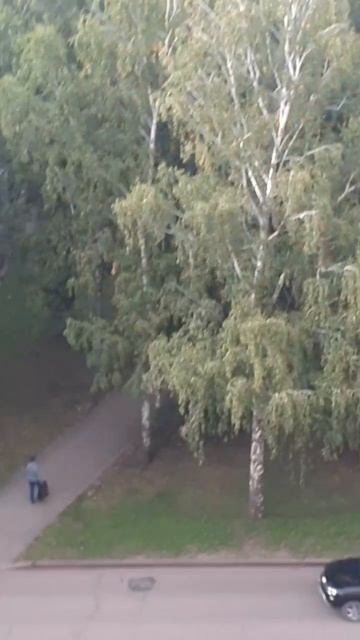 Красивый вид из окна