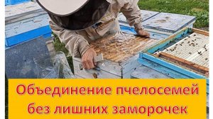 Объединение пчелосемей (ломаем стереотипы)😱.