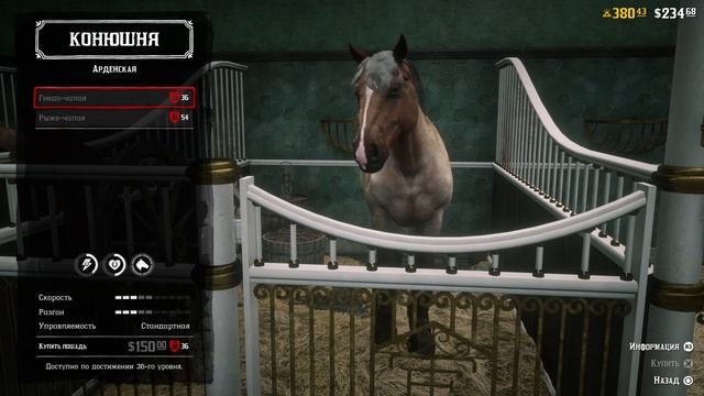 ЧТО МОЖНО КУПИТЬ, ЗАДОНАТИВ 4.000₽ В RDR 2 — #5 смотреть онлайн