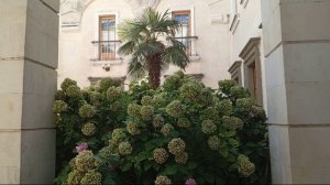 Нижняя Ореанда