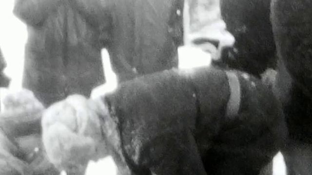 санный поход