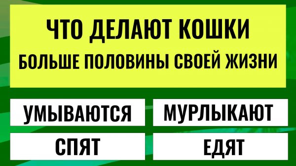 Кто знает ответ на эти вопросы, тот настоящий ЭРУДИТ. интересные тесты на эрудицию