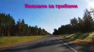 По грибы 28 августа 2025 г./ Смоленская обл.