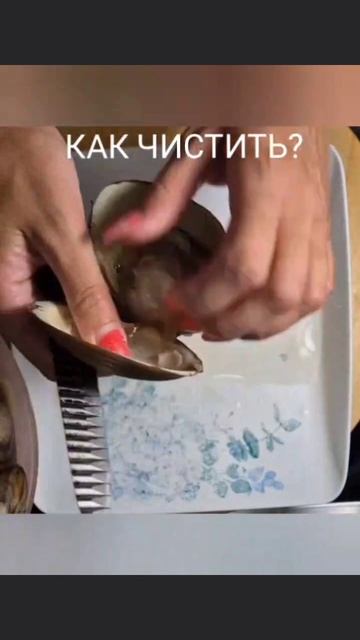 Как чистить спизулу (песчанку?)