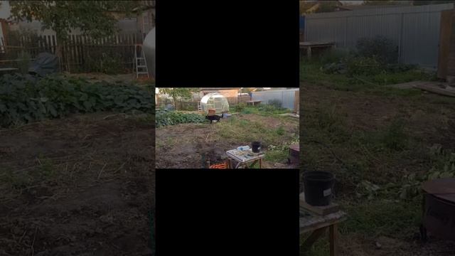 Шерлок ищет  кофе