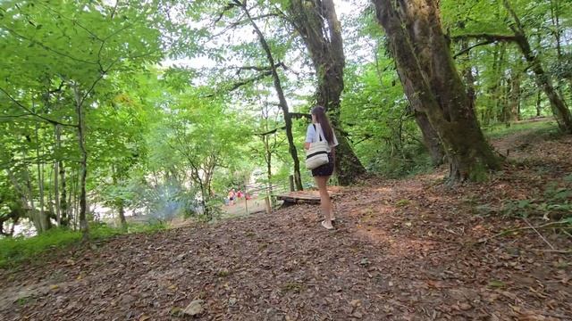 Встреча с дельфинами и каньон чертовы ворота