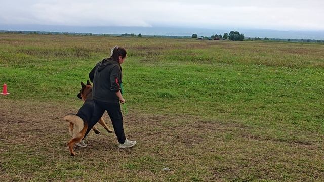 1.  выражено/перв OSTEN STERN PATRIOT (Ozzy No Bartas Krasta – Osten Stern Yukki)