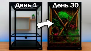 ЭКОСИСТЕМА ЗА 30 ДНЕЙ. ТРОПИЧЕСКИЙ ТЕРРАРИУМ ДЛЯ ГЕККОНОВ БАНАНОЕДОВ