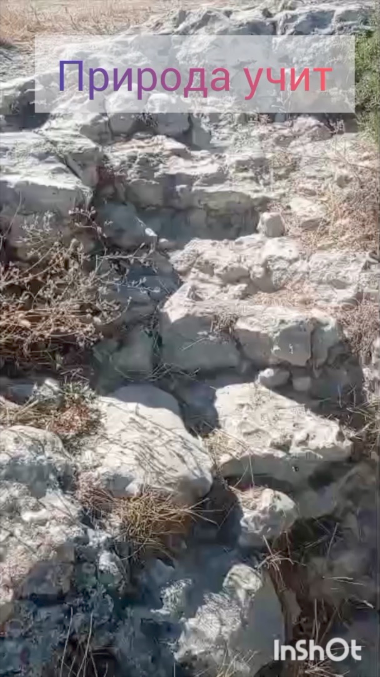 Отдохнуть на природу к морю!