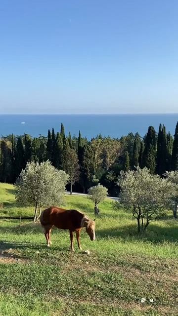 Прекрасный живописный Новый Афон (конец августа, ЛЕТО-2025) смотреть онлайн