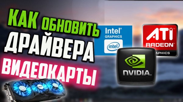 Как обновить драйвера видеокарты NVIDIA | Radeon | Intel