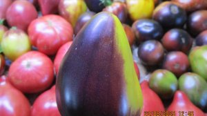 Томаты - новинки 2025 года. В томат Ананасный сержант Софии Сааковой я влюбилась с первого взгляда!