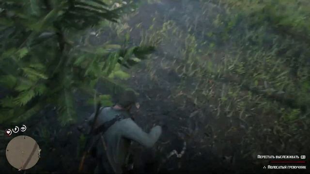 ЧТО БУДЕТ ЕСЛИ ОТРАВИТЬСЯ В RDR 2 - МАКСИМАЛЬНАЯ ИНТОКСИКАЦИЯ — #10 смотреть онлайн