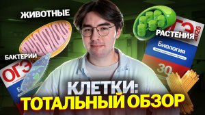 Все про клетки | Бактерии, растения, грибы и животные | Биология ОГЭ | Умскул