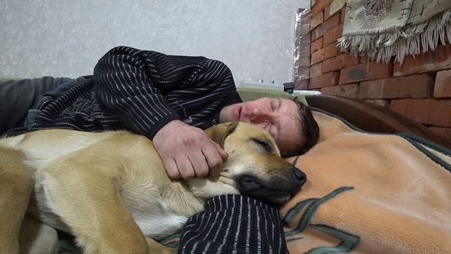 Воздержание и ночная поллюция