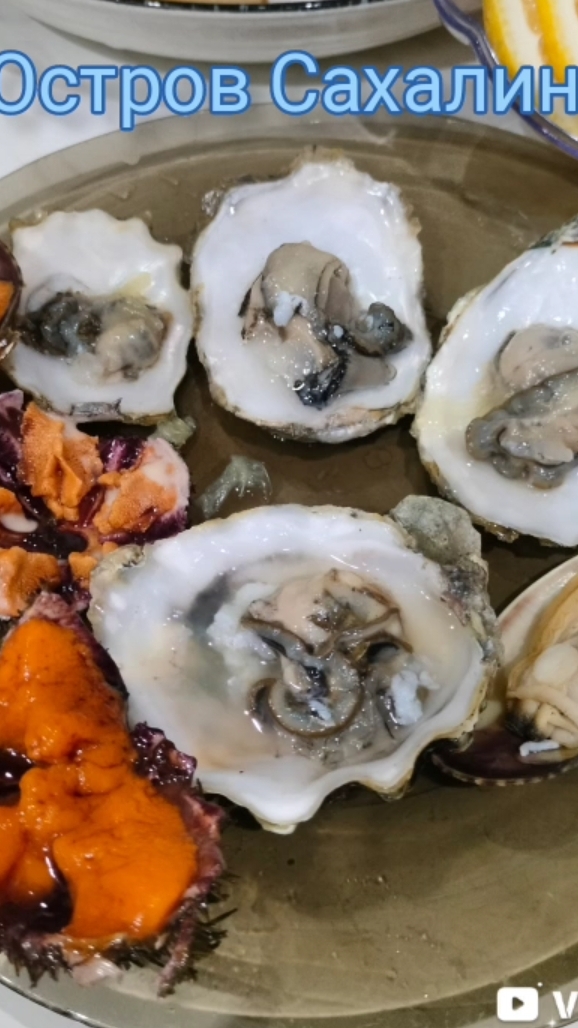 Остров Сахалин