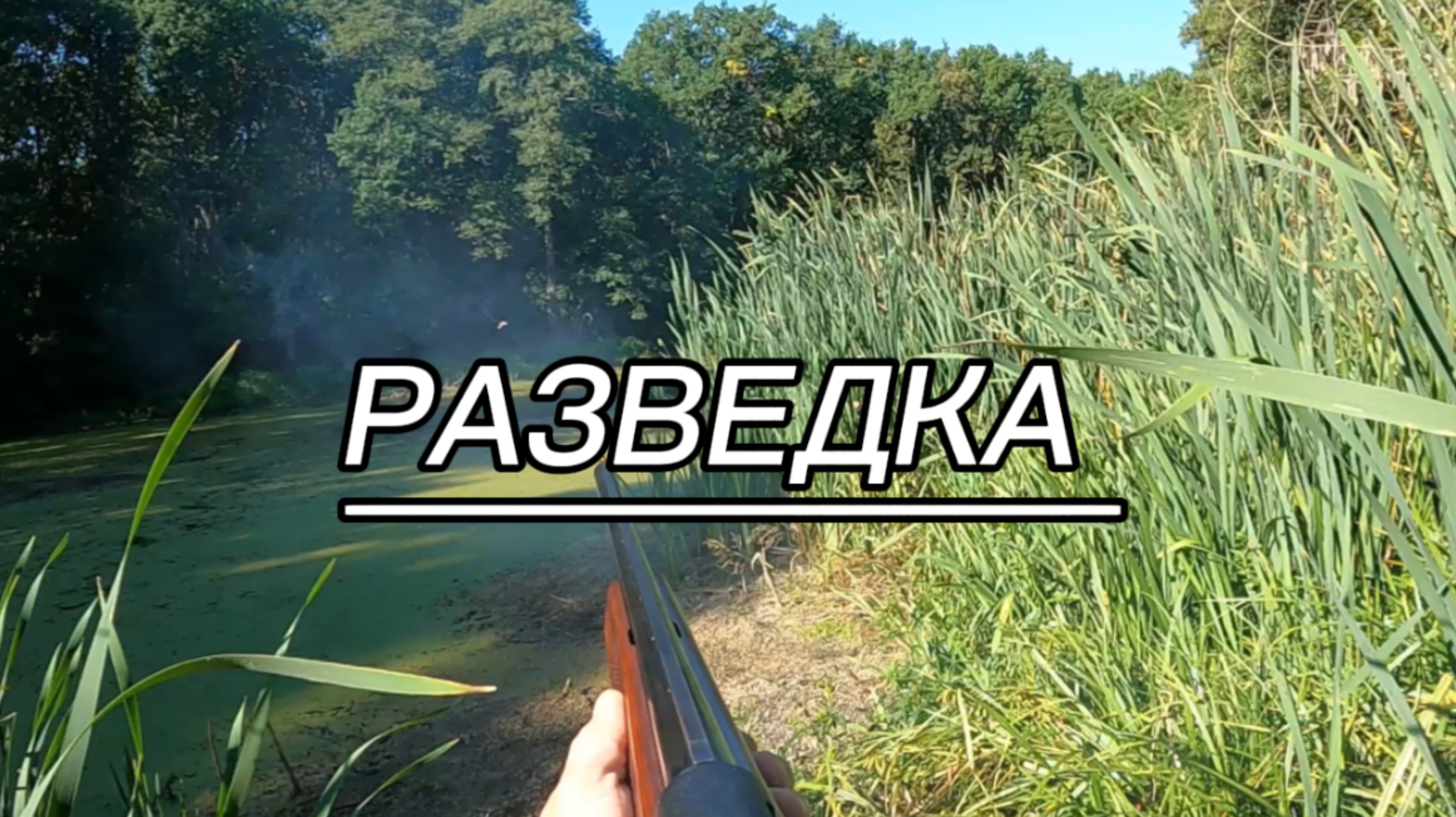 Охота в последний день лета. Куница, утки, утята. смотреть онлайн