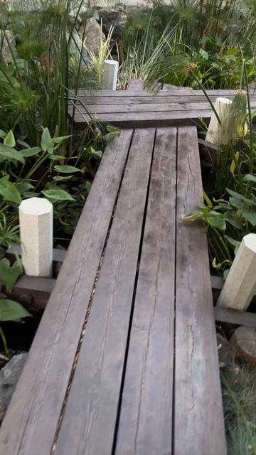 Кристальные водопады и ручьи с лотосами и золотыми рыбками #парккраснодар #паркгалицкого смотреть онлайн