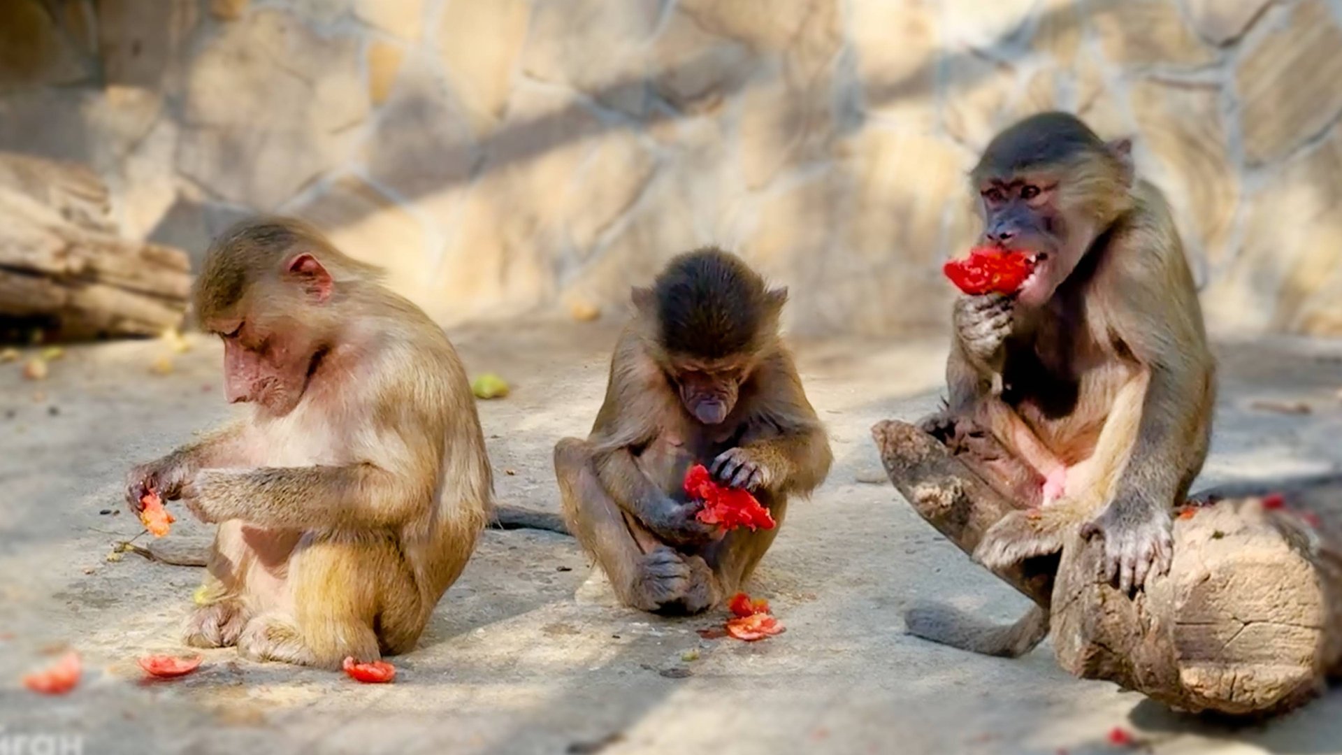 Степан и его взрослая "братская" любовь - то одну сестру любит, то другую! Маняша аристократка! смотреть онлайн