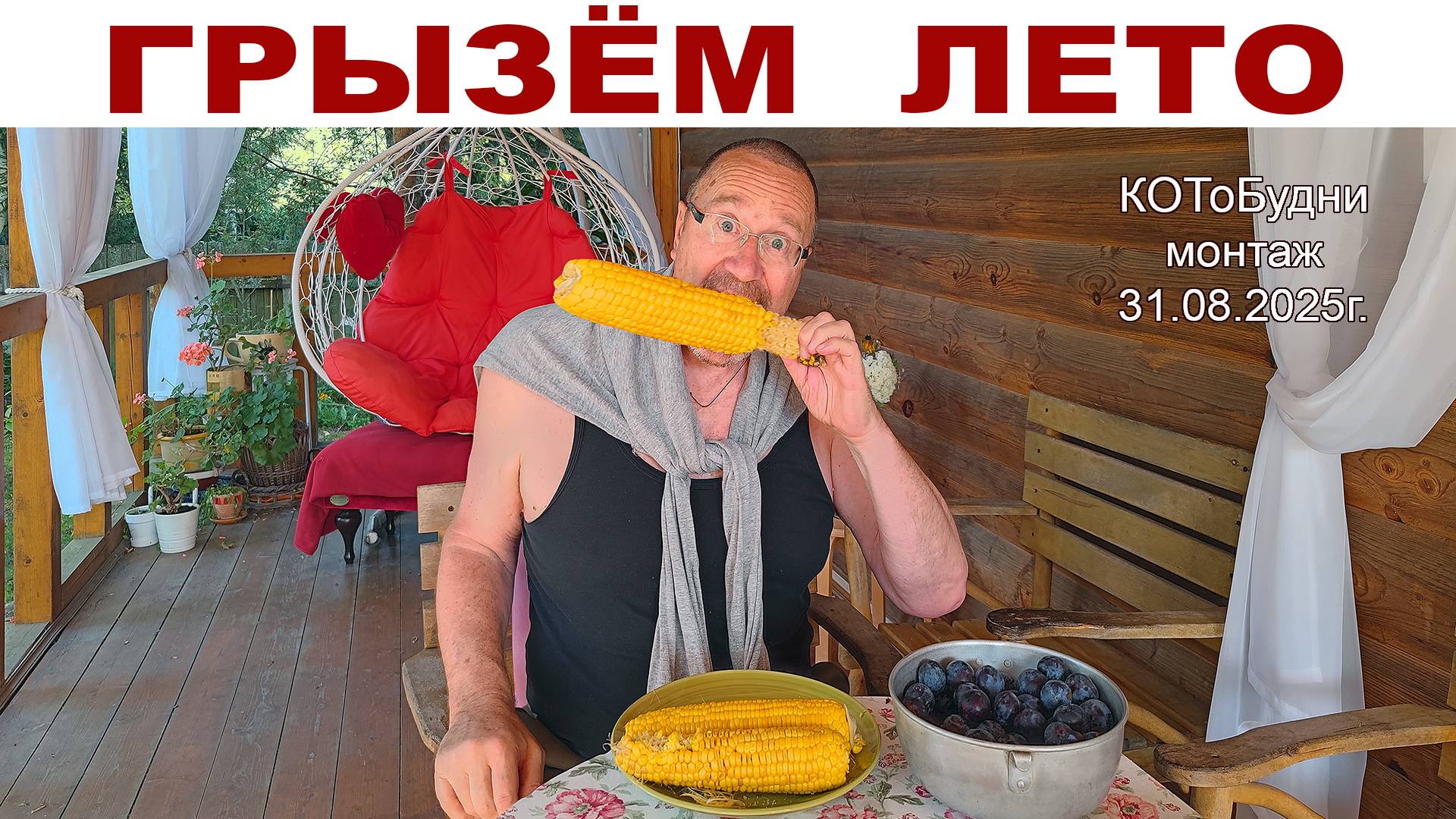 ГрызЁм Лето или КОТоБудни от 31.08.2025г. смотреть онлайн
