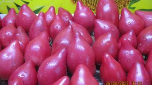 От этих томатов я не откажусь никогда! Урожайные и неприхотливые!