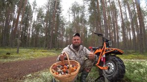 ЗАШЁЛ В БОР И ОБОМЛЕЛ, ПОПАЛ НА ГРИБНОЙ ВЫХОД! ГРИБНЫЕ СЕМЬИ ПО СЕМЬ 7 ШТУК \ СБОР ГРИБОВ 2025.