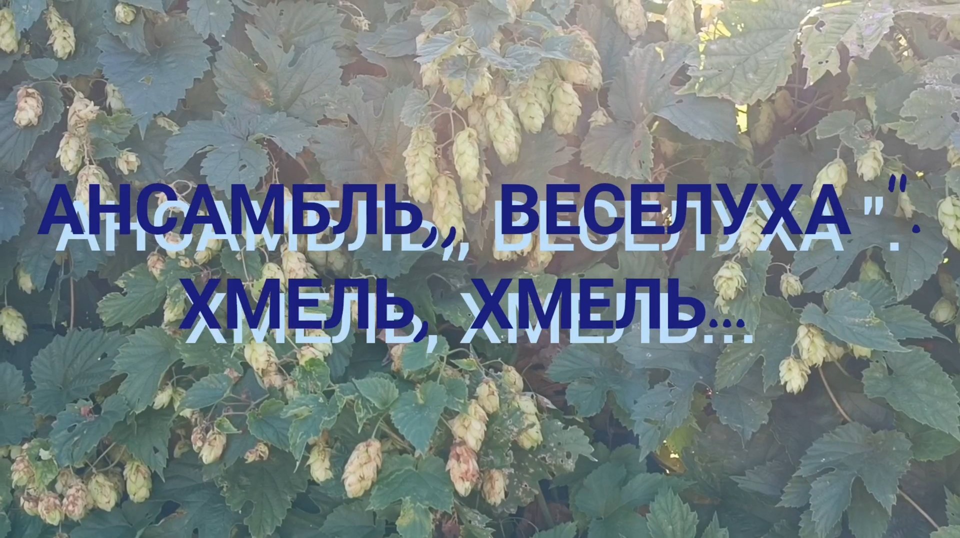 ХМЕЛЬ, ХМЕЛЬ, ХМЕЛЁК