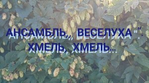 ХМЕЛЬ, ХМЕЛЬ, ХМЕЛЁК