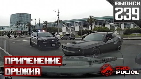 Применение оружия полицией: Исполнители [Выпуск 239 2025]
