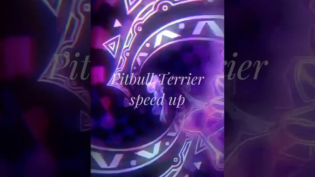 Pitbull Terrier speed up смотреть онлайн