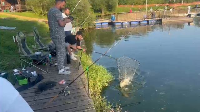 Рыбалка в Красногорске Биг Карп.