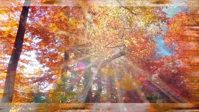 ОСЕННИЙ СВЕТ