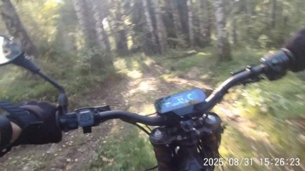 энДУРОСТЬ. Clouded Arctic Leopard XE PRO S