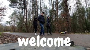 Наше воскресенье/ Каждый день тесты/ Гуляем с Йорком/ Наряжаем ёлку/ Влог/ Наша жизнь в Германии