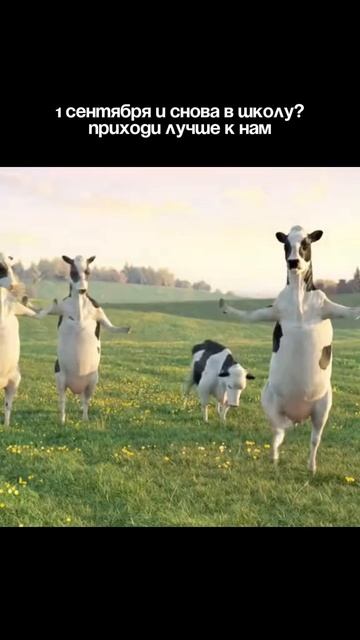 Снова в школу?