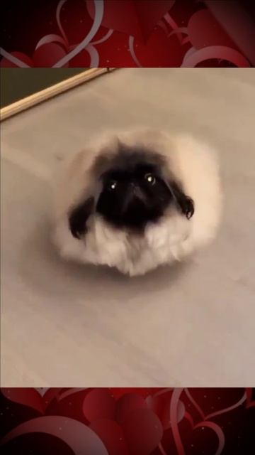 Диету надо соблюдать смотреть онлайн