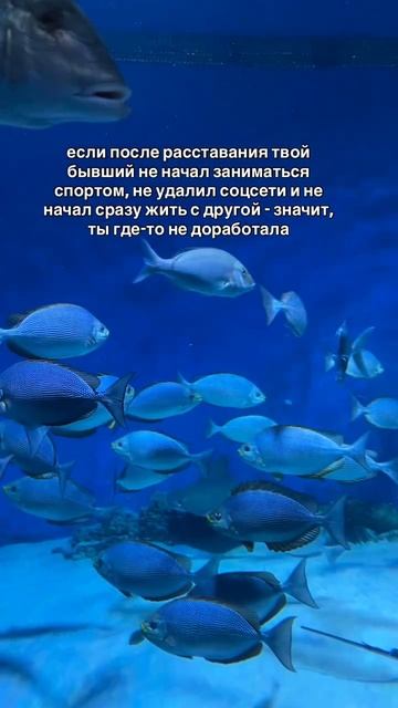 Не доработала